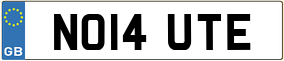 Truck License Plate